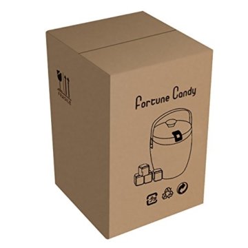 Fortune Candy (TM) Doppelwandig Edelstahl Eiseimer mit Zangen und Eiswürfel, Anti-Fingerabdruck, 3 Litre/0.8 Gal - 8